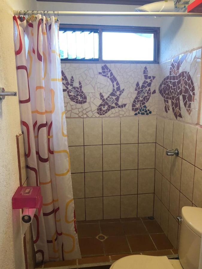 Owl House Hotel Piedades ภายนอก รูปภาพ