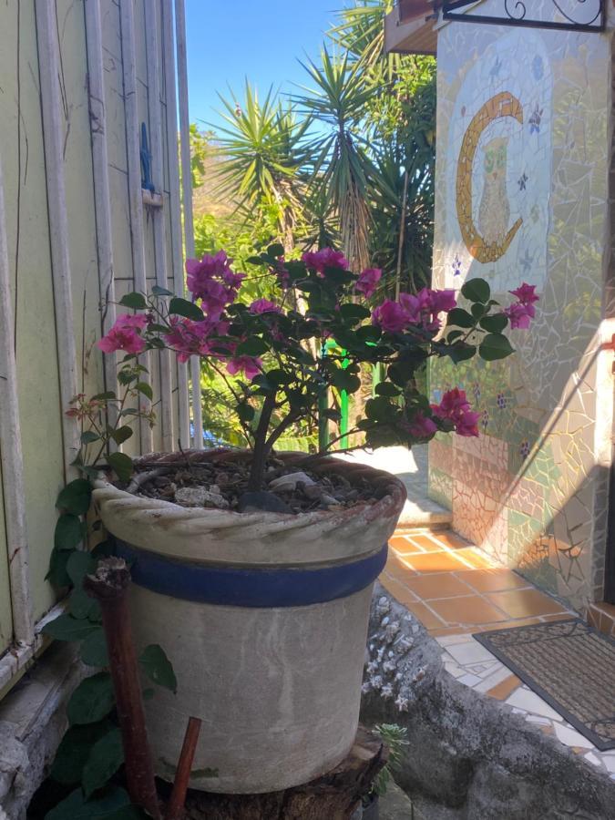 Owl House Hotel Piedades ภายนอก รูปภาพ