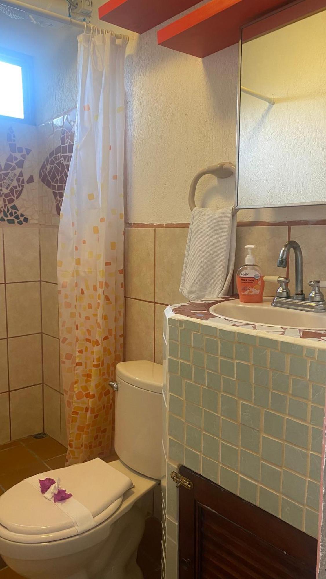 Owl House Hotel Piedades ภายนอก รูปภาพ