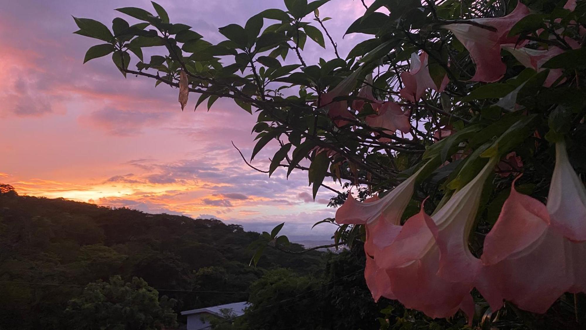 Owl House Hotel Piedades ภายนอก รูปภาพ